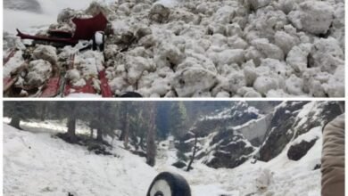 Photo of शिमला के नारकंडा में हिमस्खलन की शिकार हुई कार, तीन को हल्की चोटें