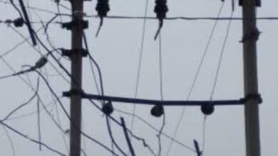 Photo of 66 केवी टावर लाइन में कार्य के चलते रविवार और मंगलवार को नेरवा,चौपाल में बाधित रहेगी बिजली